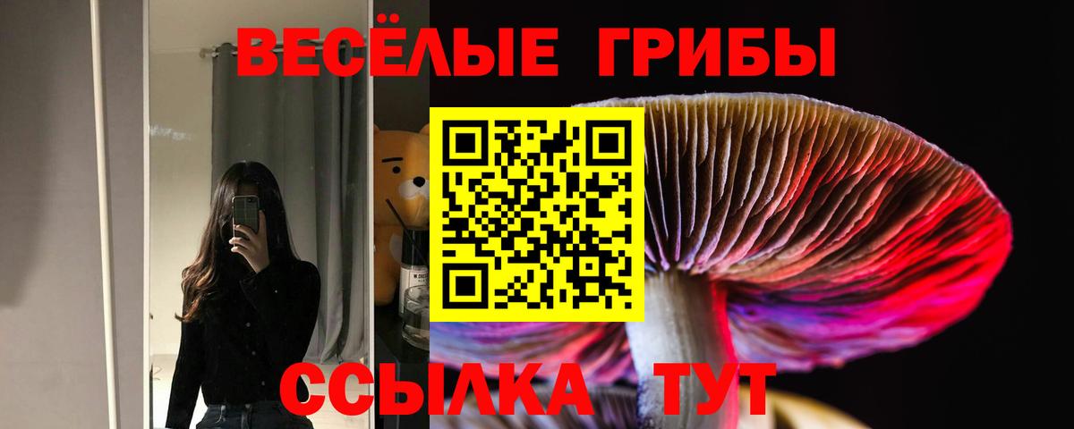 Псилоцибиновые грибы прущие грибы Чебаркуль